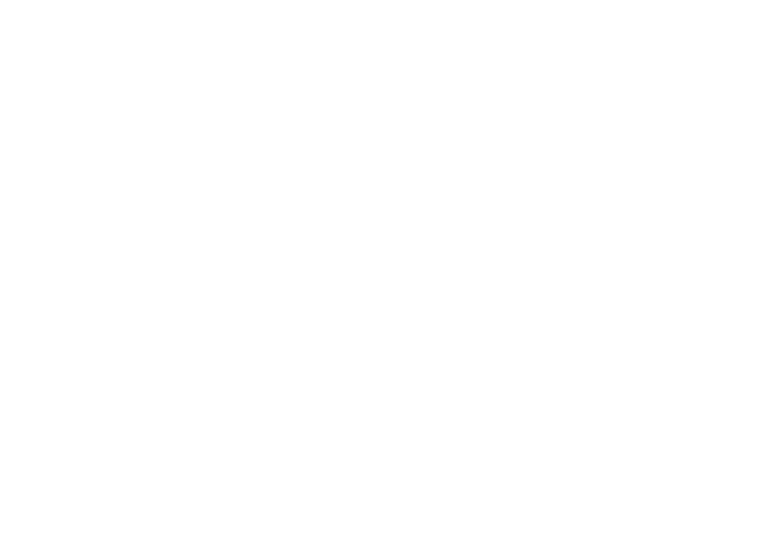 LMX Inc.